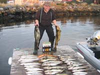 Godt fiske
